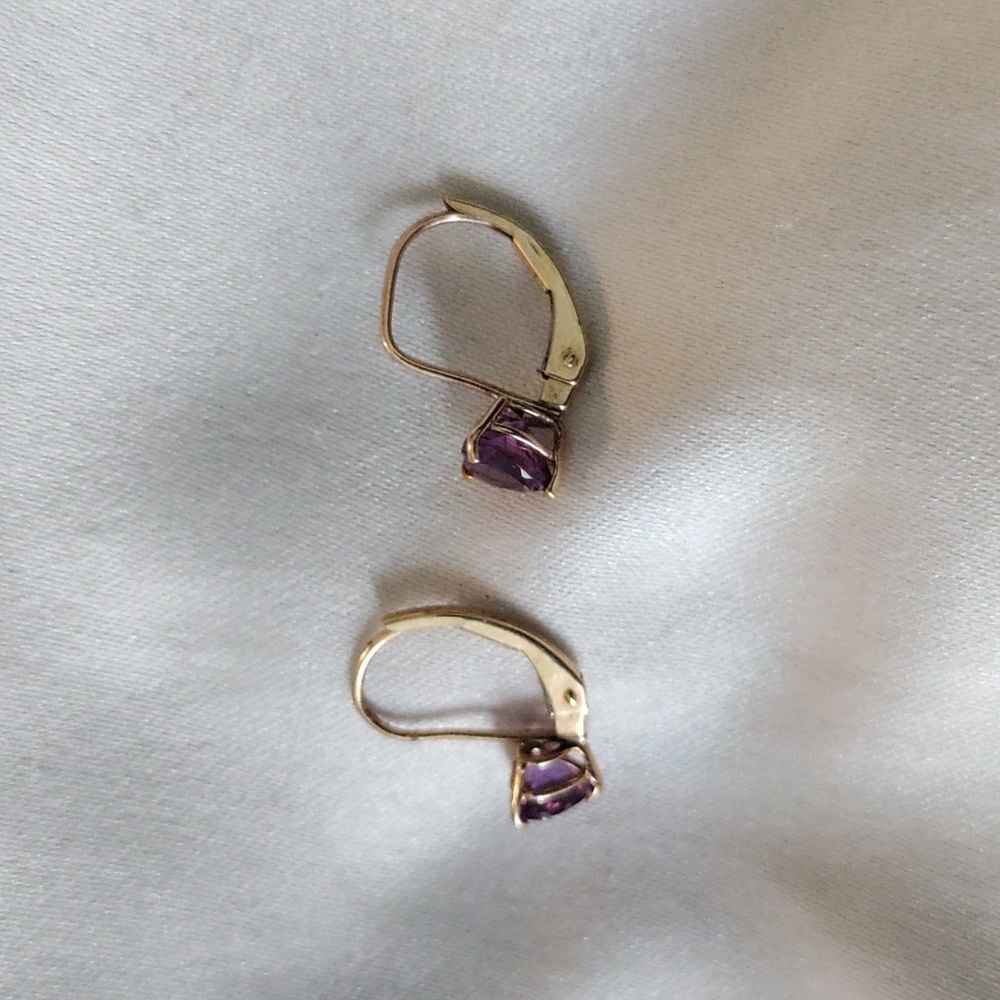 10k Gold and Amethyst Birthstone Earrings - Picture 4 of 6